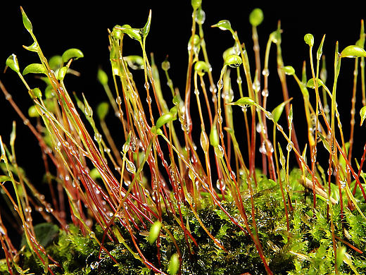 放大后的视觉感受（个人主页-ZMjExNjYxNDQ=） - 产品摄影 - 站酷设计师yangshanlong912原创素材 - 站酷ZCOOL