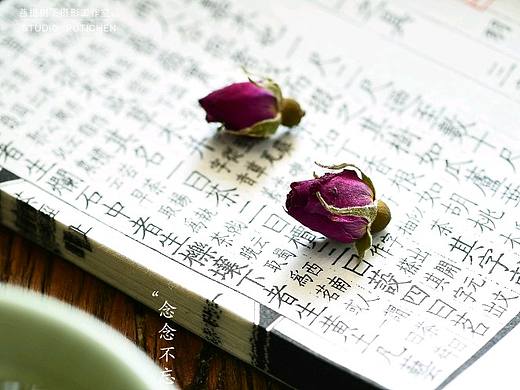 玫瑰花茶