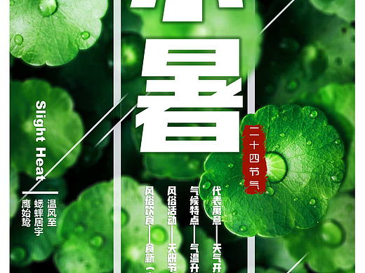 小暑（二十四节气之一）