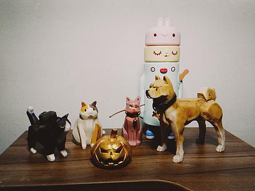 icework 柴犬和猫