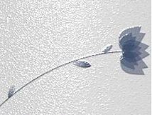 千雅文化（个人主页-ZMTkzNTA3OTI=） - 交互/UE - 站酷设计师者中置柜原创素材 - 站酷ZCOOL