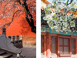 故宫的风花雪月-温柔美丽