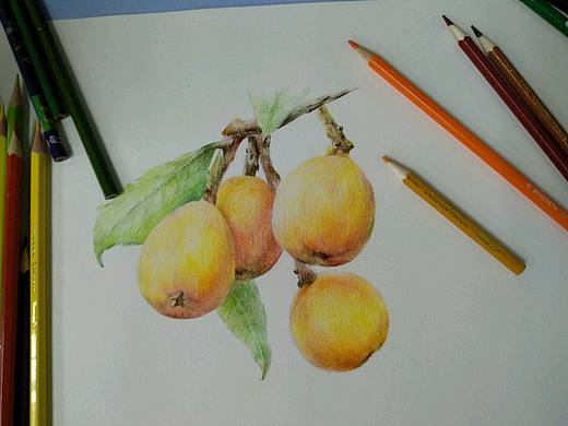 枇杷枇杷枇杷膏