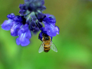 拍摄练习（个人主页-ZNDI5NTI5Mg==） - 风光摄影 - 站酷设计师少不更事1992原创素材 - 站酷ZCOOL