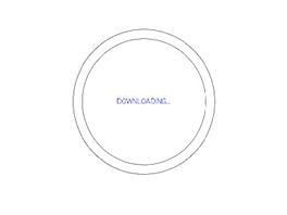 动效loading