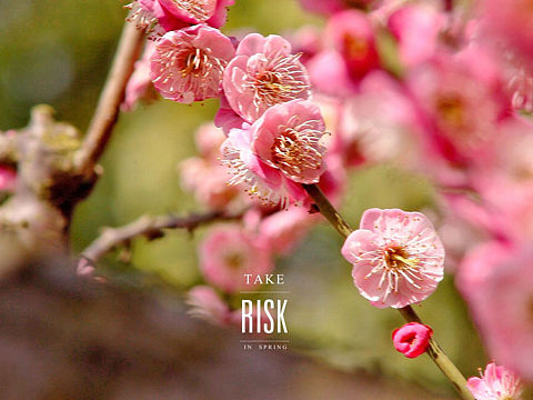 春暖花开（个人主页-ZMzI1MTYzMjQ=） - 其他 - 站酷设计师journey19940原创素材 - 站酷ZCOOL