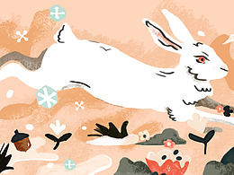 練習(xí)-兔子君