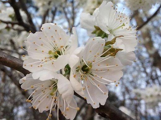 摄影 风景（个人主页-ZMTYxNDM1ODQ=） - 风光摄影 - 站酷设计师LQZ智叔原创素材 - 站酷ZCOOL