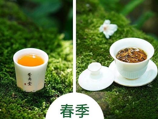 春天最适合出外景啦