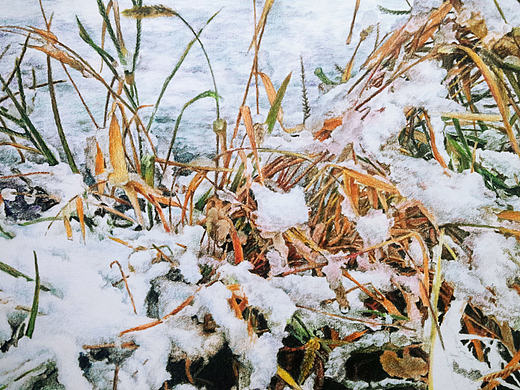 彩铅的魅力 —《初雪》风景系列
