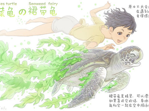 【蔬菜精灵】裙带龟