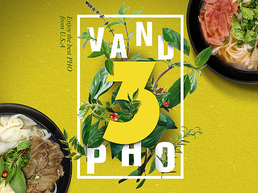 越河粉PHO
