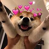 ppppxj的头像