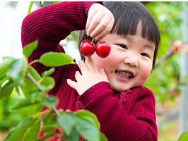 淘宝天猫生鲜水果樱桃详情