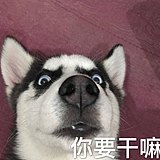 像welike呆萌丝的头像