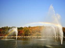 北宫森林公园一（个人主页-ZMjc3MDg5Ng==） - 风光摄影 - 站酷设计师syouwa原创素材 - 站酷ZCOOL