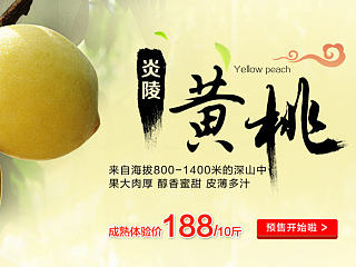 生鲜水果 网页banner 黄桃 蜜柚 柚子 红心蜜柚 三红蜜柚 玉妃葡萄 湖南网页设计