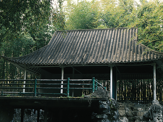 日常风光摄影—近景