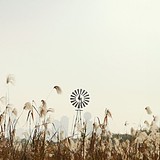 HM居居的头像
