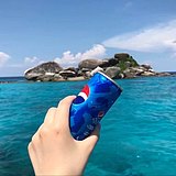 冬天吃什么水果的头像