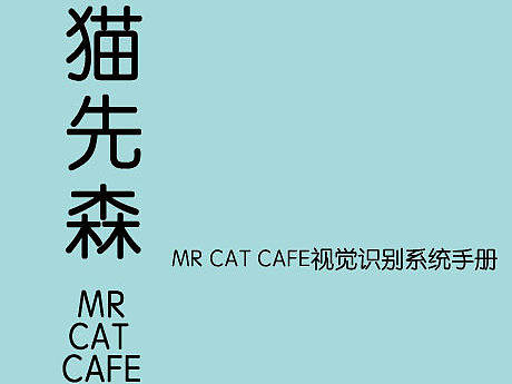 视觉识别系统手册