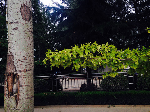 iPhone 摄影大杂烩