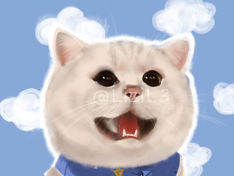 可可爱爱猫咪插画 第一弹