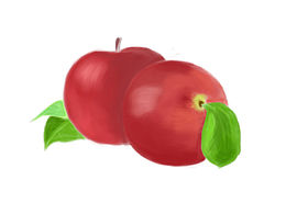 手繪插畫(huà)基礎(chǔ)