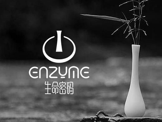 生命密码酵素