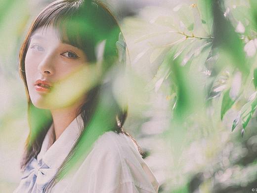 经年夏日