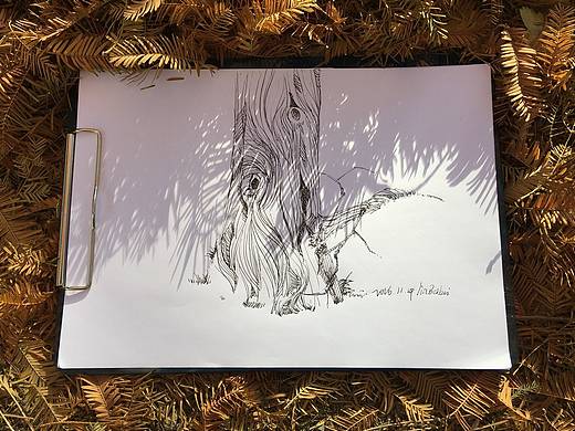 鋼筆速寫-樹（個人主頁-ZMjEzMTE4MDg=） - 藝術插畫 - 站酷設計師BudJin原創(chuàng)素材 - 站酷ZCOOL