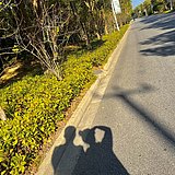 芭乐的可乐的头像