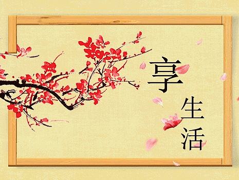 自己做的项目里的banner
