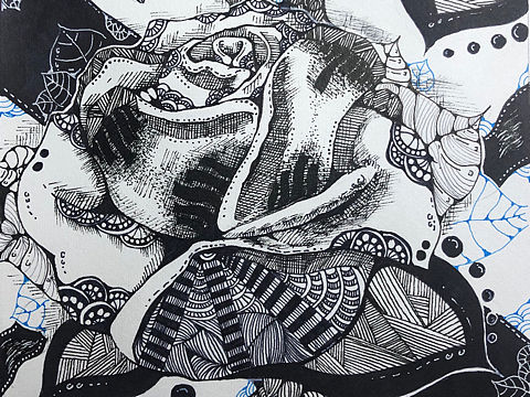 二维设计习作-玫瑰（个人主页-ZNDg0MTE0NjQ=） - 创作习作 - 站酷设计师樊阳君原创素材 - 站酷ZCOOL