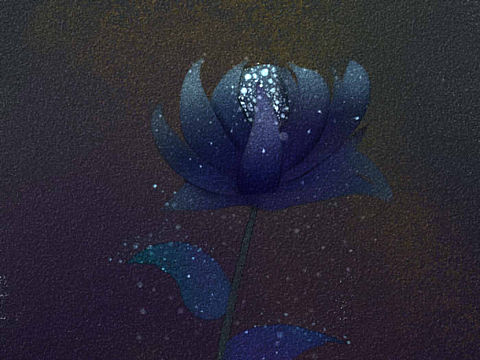 【插画】一些没营养的插图