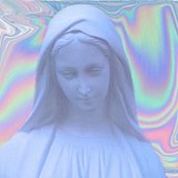 秃仔不秃的头像