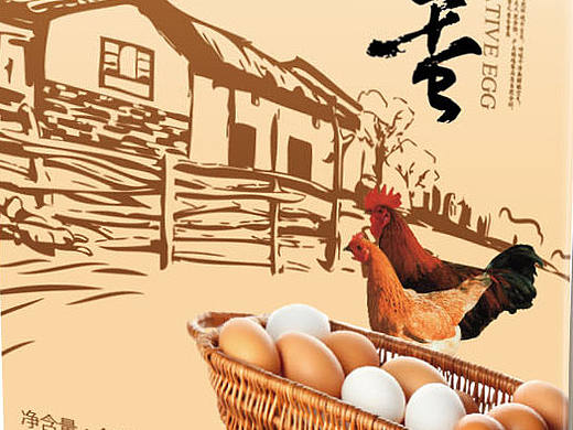 鸡蛋/山菌/海鲜