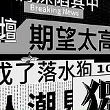 野比比比的头像