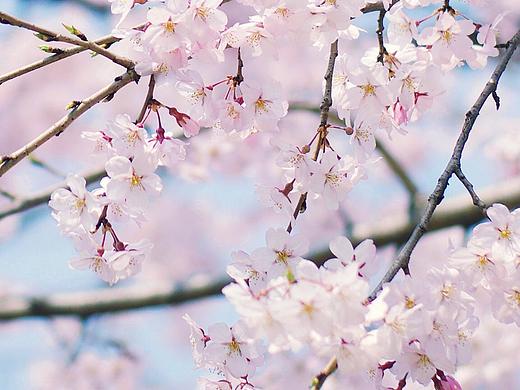 情愫（个人主页-ZMTg2NDAxNDQ=） - 图标 - 站酷设计师jane199507原创素材 - 站酷ZCOOL