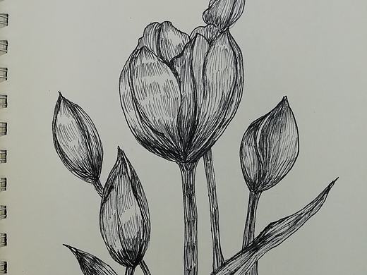 花（个人主页-ZMzA5MTk4NTY=） - 绘画 - 站酷设计师小新在流浪原创素材 - 站酷ZCOOL