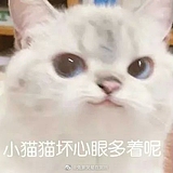 pikapppp的头像