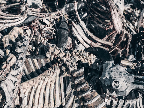 墨色石頭（個(gè)人主頁(yè)-ZNTEyMTg5MjQ=） - 風(fēng)光攝影 - 站酷設(shè)計(jì)師陸游契原創(chuàng)素材 - 站酷ZCOOL