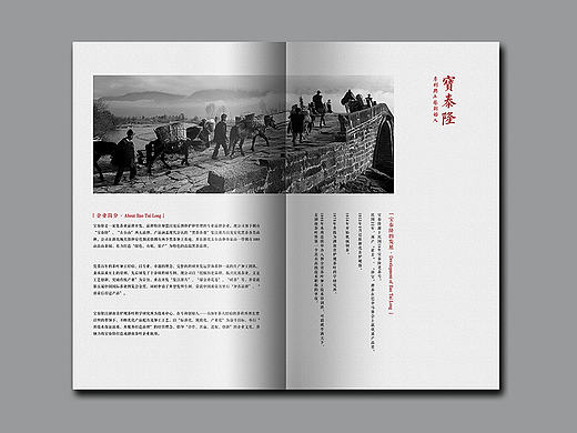 茶叶画册设计
