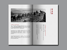 茶葉畫冊(cè)設(shè)計(jì)