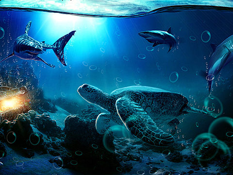 合成习作（个人主页-ZMTkwOTIwNDg=） - 海报 - 站酷设计师davidyan114原创素材 - 站酷ZCOOL