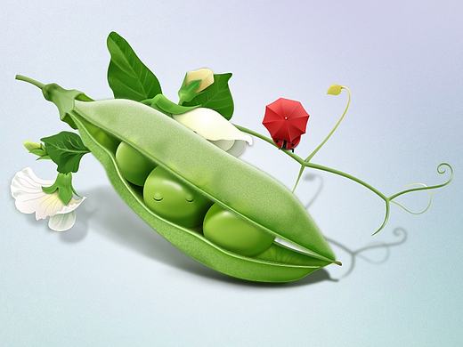豌豆写实图标（个人主页-ZMjE0Njg3NTI=） - 图标 - 站酷设计师颜潇雪原创素材 - 站酷ZCOOL