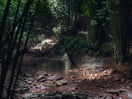 风景