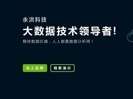 永洪数据分析平台