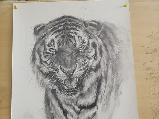 虎（个人主页-ZMzE4NjgxMDQ=） - 绘画 - 站酷设计师何痣原创素材 - 站酷ZCOOL