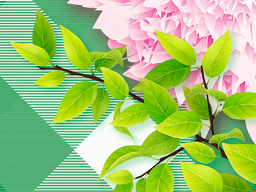 壁纸 菊花？牡丹？（个人主页-ZNTAxMTU5NDg=） - 闪屏/壁纸 - 站酷设计师假丨票子原创素材 - 站酷ZCOOL